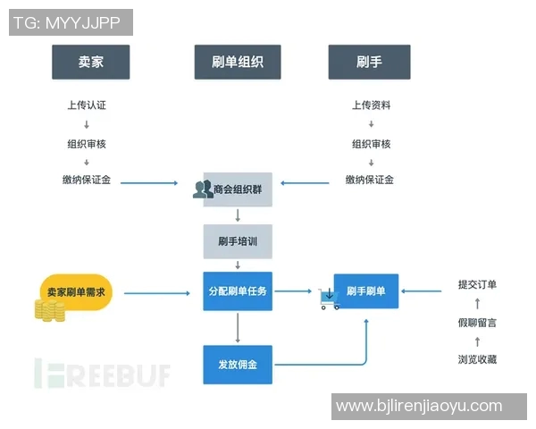 杭州攀岩队的成功运营模式与发展策略深度解析